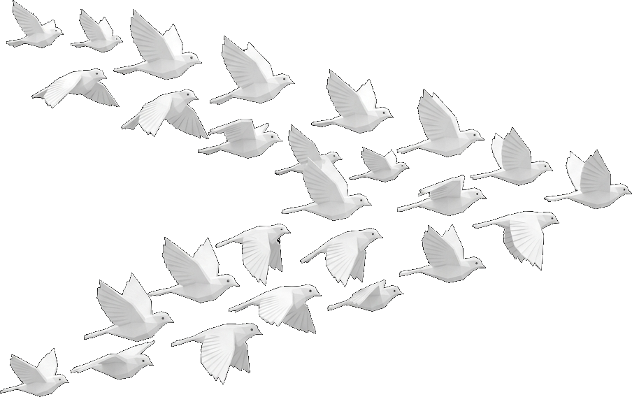 Flock of Birds